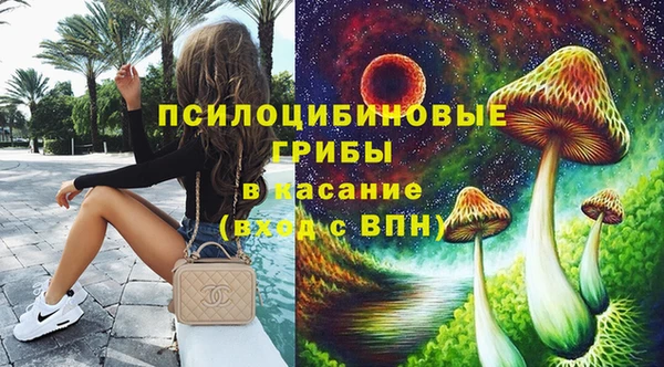 mdpv Белокуриха
